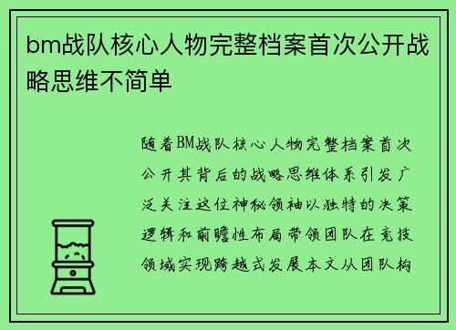 bm战队核心人物完整档案首次公开战略思维不简单