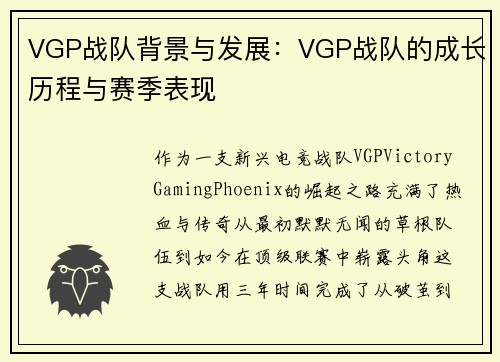 VGP战队背景与发展：VGP战队的成长历程与赛季表现