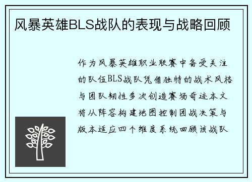 风暴英雄BLS战队的表现与战略回顾